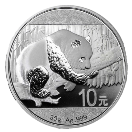 30 G Silver Panda coin