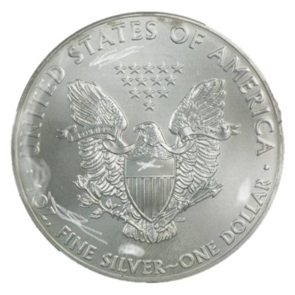 1 oz Silver American Eagle Blemished | Random Year