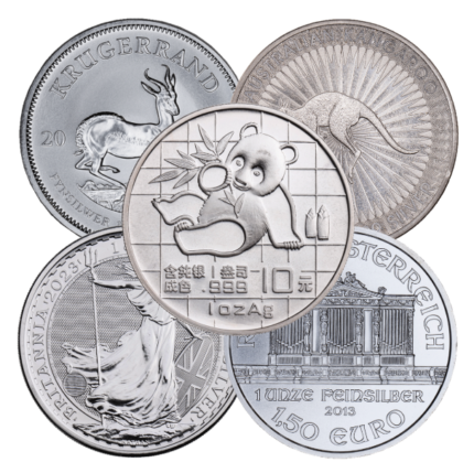 Silver 1 oz Coin - Random Design, Mint and Year | Varied Condition