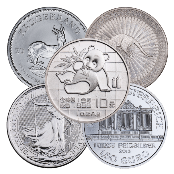 Silver 1 oz Coin - Random Design, Mint and Year | Varied Condition