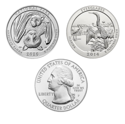 Silver 5 oz America The Beautiful Coin | Random Year