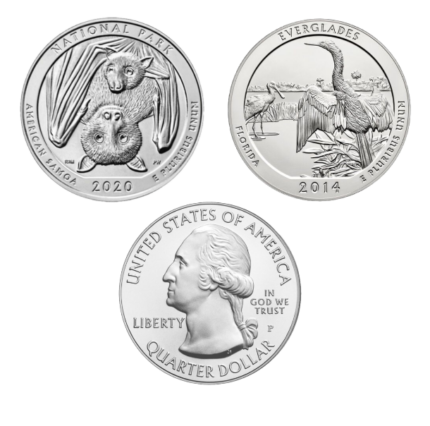 Silver 5 oz America The Beautiful Coin | Random Year