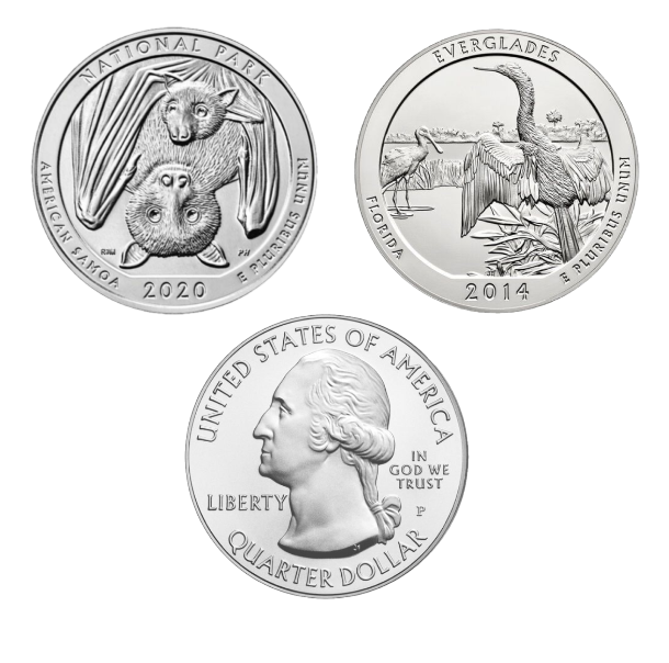 Silver 5 oz America The Beautiful Coin | Random Year